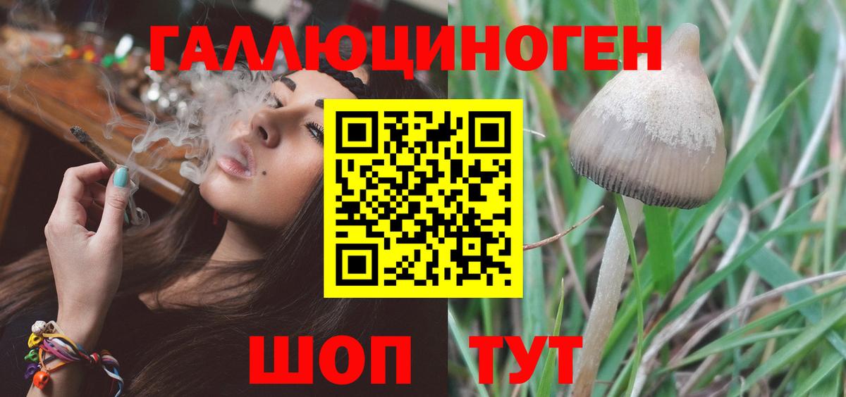 Псилоцибиновые грибы ЛСД Электрогорск
